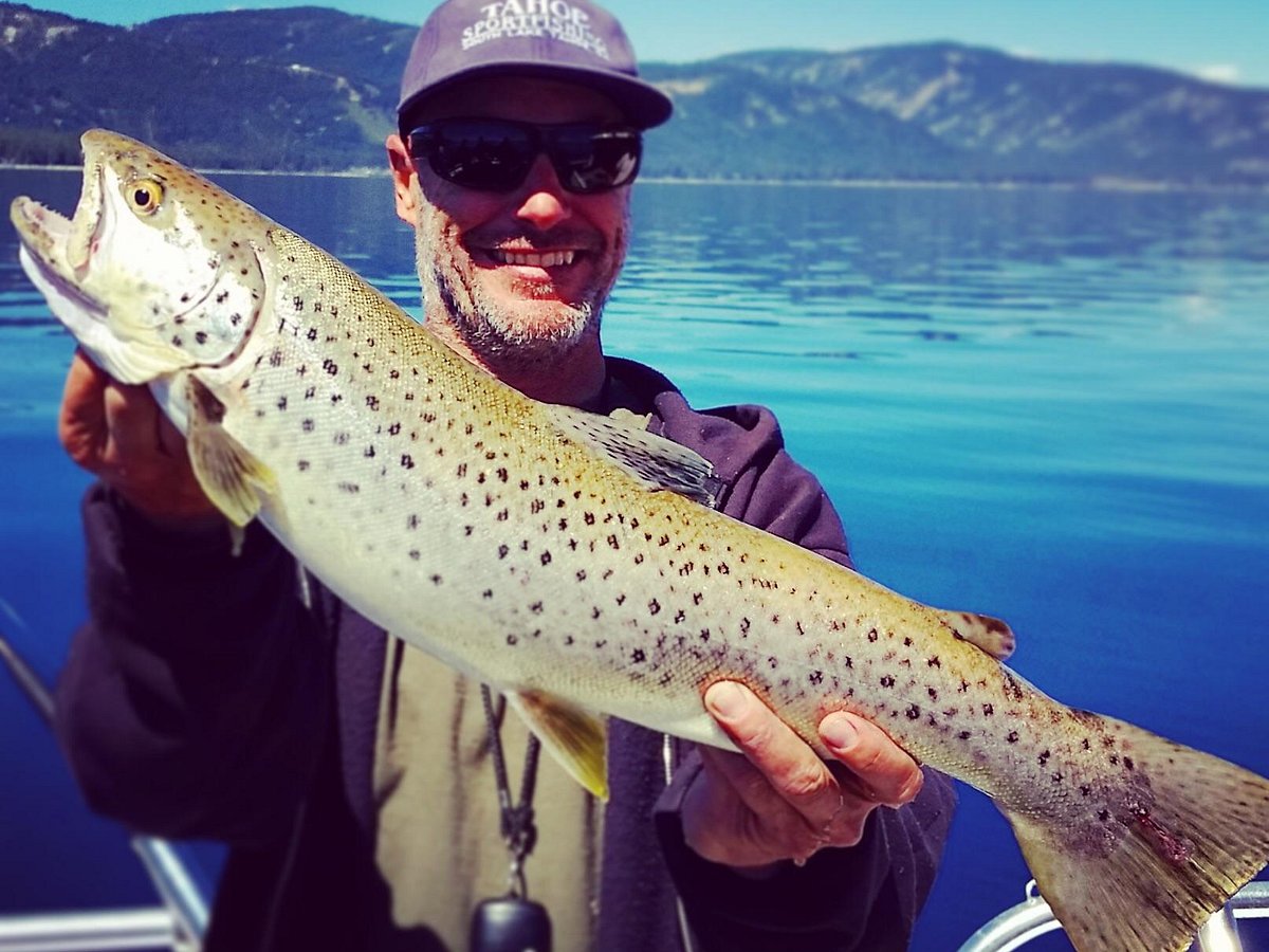TAHOE FLY FISHING OUTFITTERS - Updated April 2024 - 59 Photos & 69 Reviews  - 2705 Lake Tahoe Blvd, South Lake Tahoe, California - Fishing - Phone  Number - Yelp