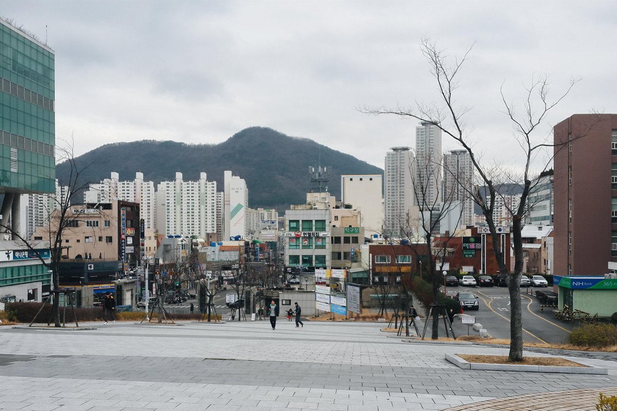 Busan National University Daehak-ro, Пусан: лучшие советы перед посещением  - Tripadvisor