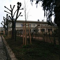 Vila Stiassni