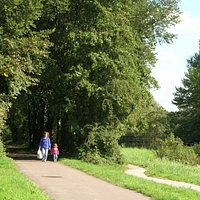 A stroll in Westerpark