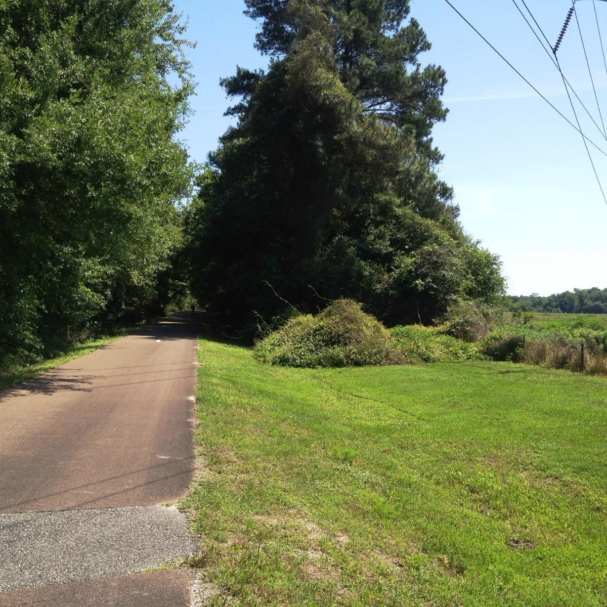 Beacon Hills Walking And Running Trail - Jacksonville, Florida, USA