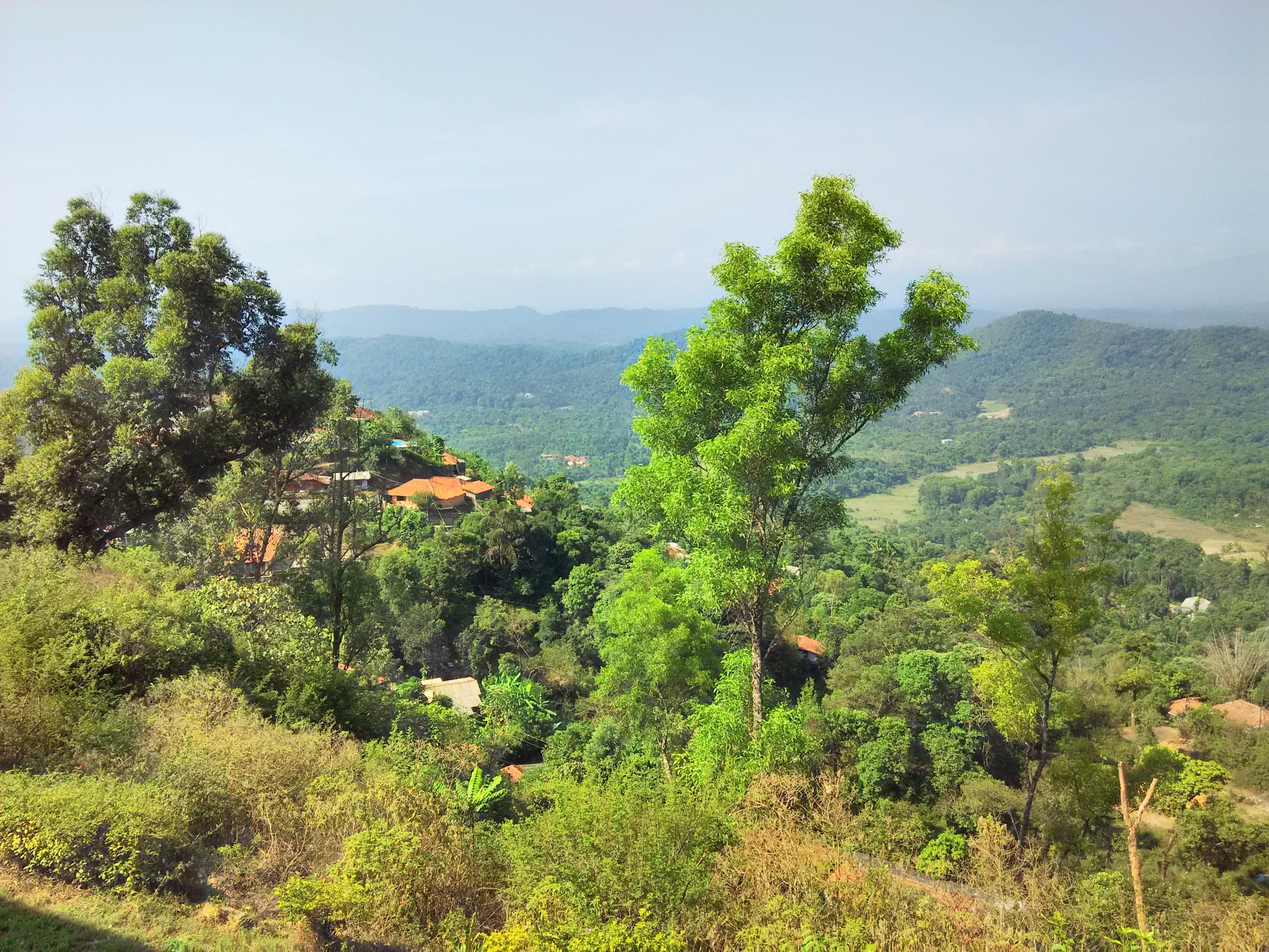 Hotel photo 22 of Hotel Mayura Valley View Madikeri.