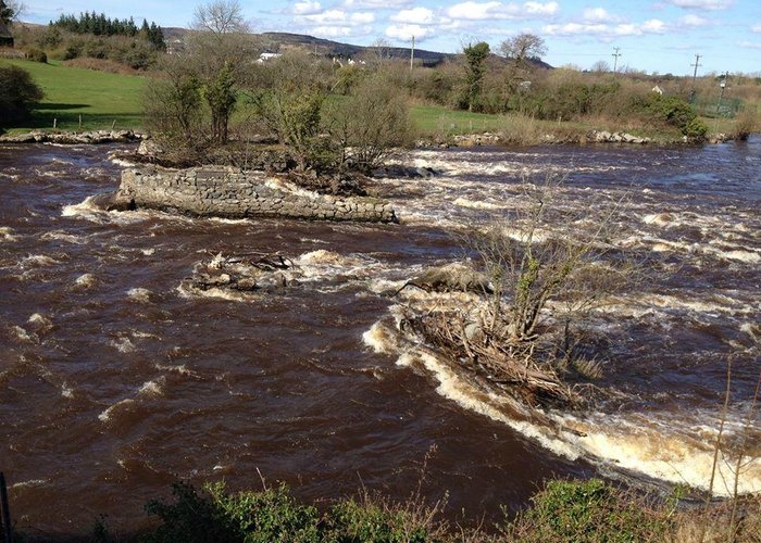 River Moy, Foxford