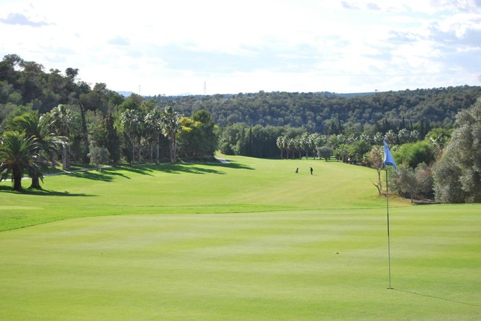 Imagen 15 de Hotel Golf Campoamor