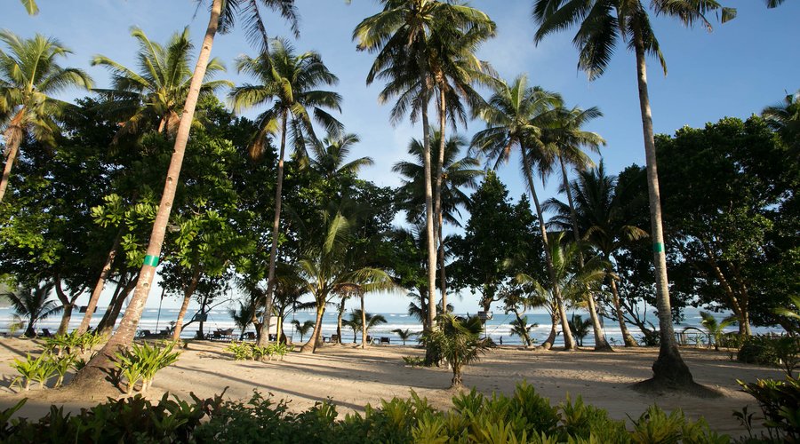 The Daluyon Beach and Mountain Resort