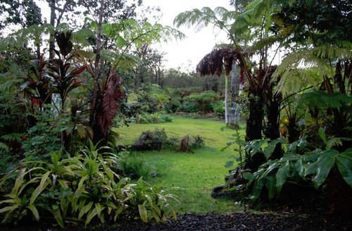 VOLCANO FERN FOREST RETREAT - B&B Reviews (Hawaii)