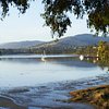 Things To Do in Sail Bruny, Restaurants in Sail Bruny