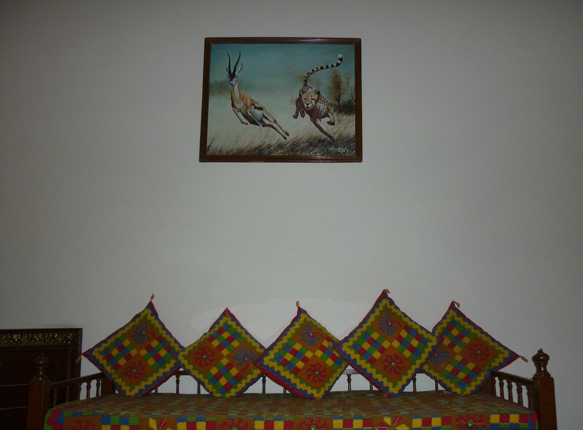 Camel Man [Vijay Guest House] by null