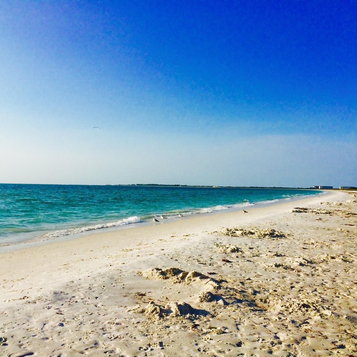 CALADESI ISLAND STATE PARK: Tutto quello che c'è da sapere