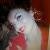 541nadyad