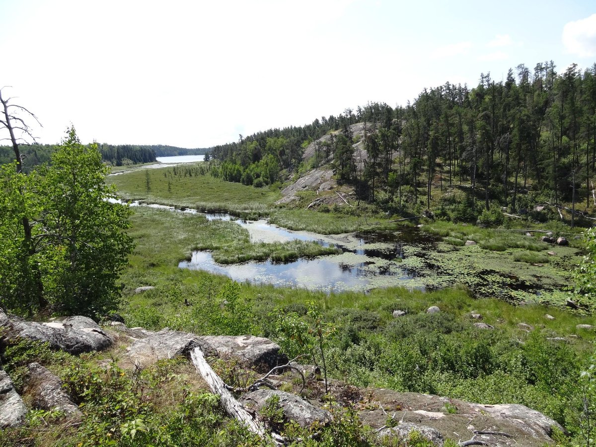 5 лучших отелей и гостиниц Falcon Lake в 2024 году - Tripadvisor