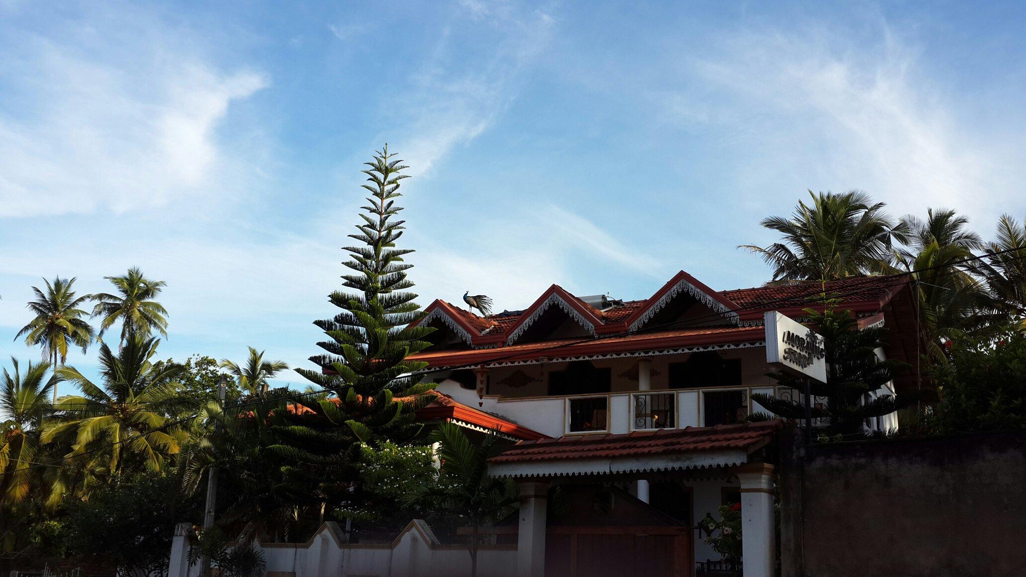 Hotel photo 10 of Morning Star.