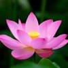 anoopwarrier