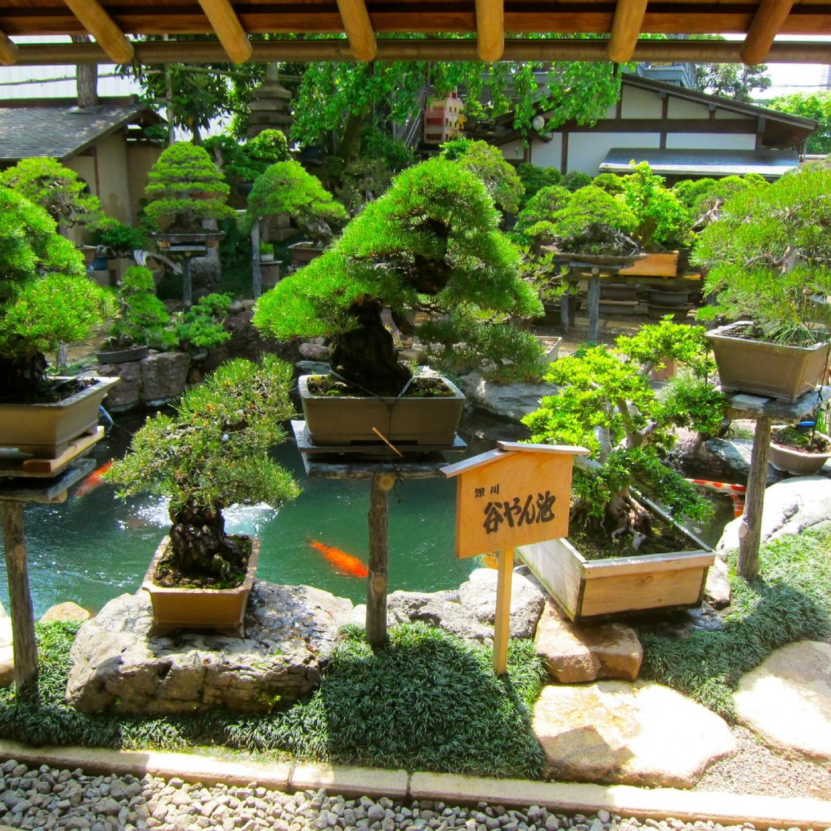 春花园bonsai 美术馆 江戸川区 旅游景点点评 Tripadvisor