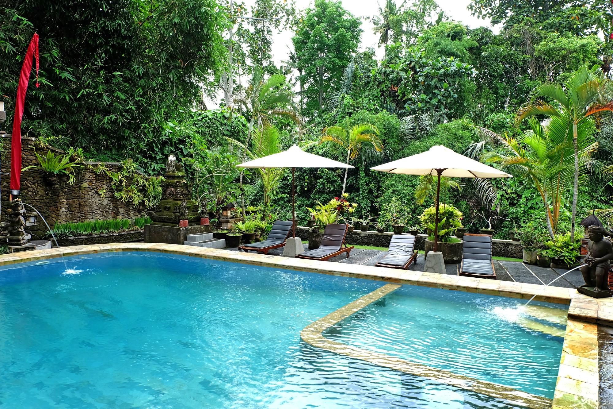 Ketut's Place Bed & Breakfast Ubud Pool Pictures & Reviews - Tripadvisor