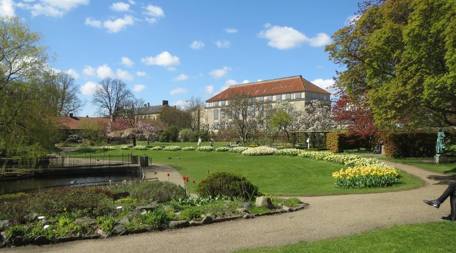 The main garden