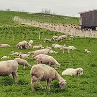 Stone Barns Center for Food and Agriculture