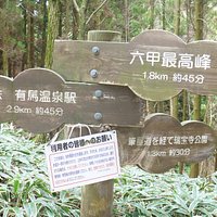 途中の標識