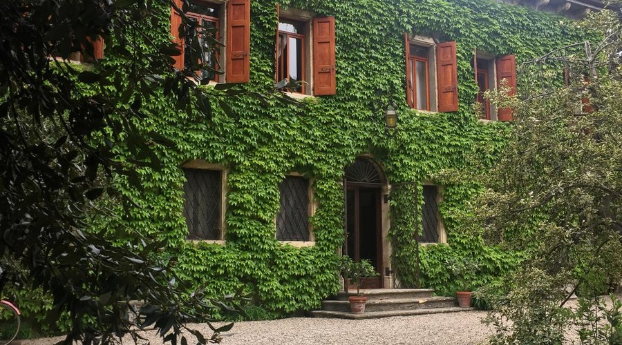 La Rosa e Il Leone