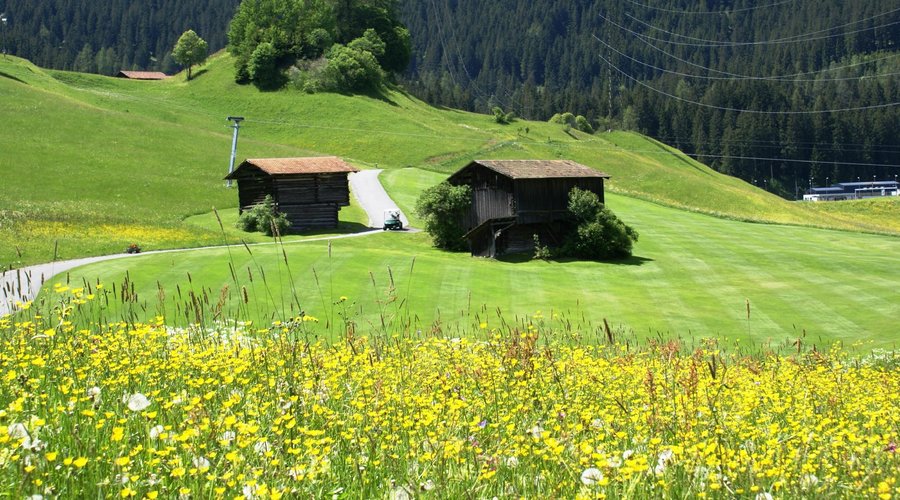 Golf inmitten intakter Natur