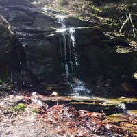 Blackhand Gorge State Nature Preserve (Newark) - All You Need to Know ...