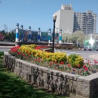 Landscaping just outside of WWI Memorial