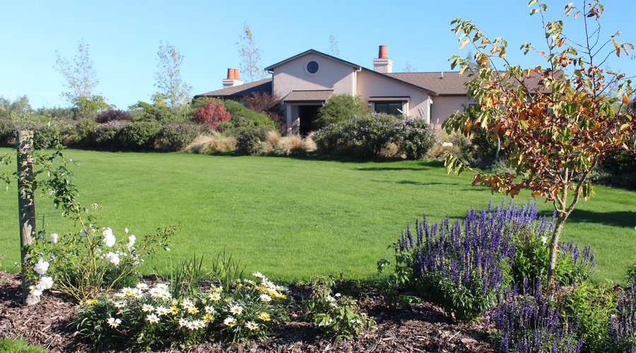 Summit Lodge gardens