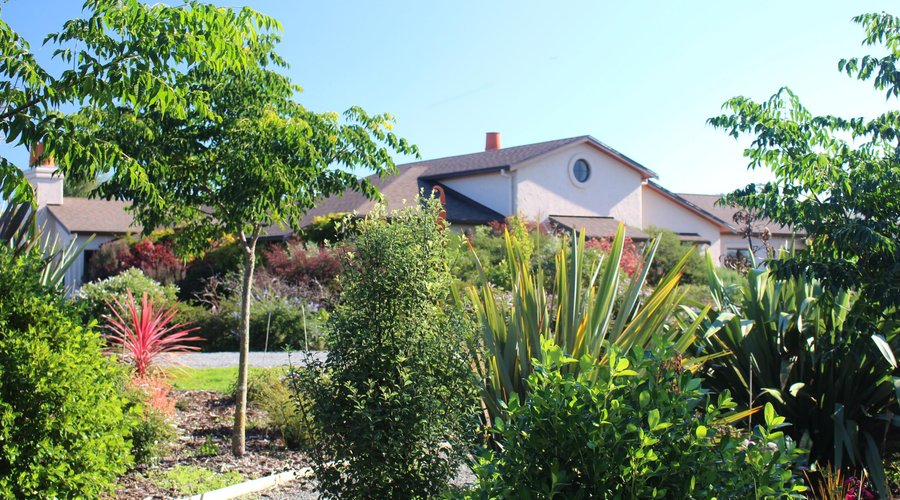 Summit Lodge gardens
