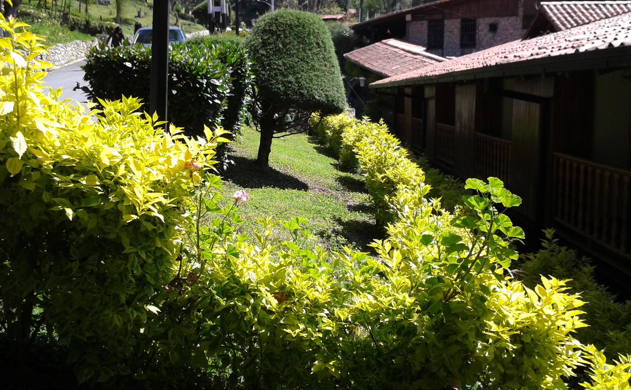 hotel Valle Grande IPASME image