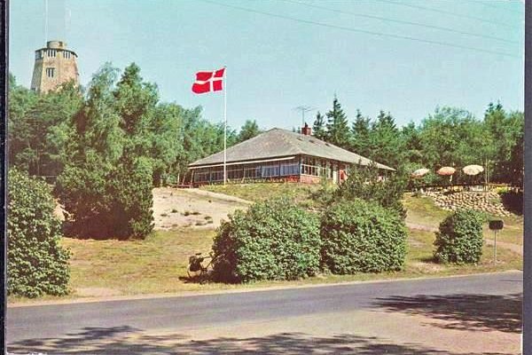 Skovlyst i Svanninge Bakker