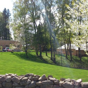 trädgård utanför huset
