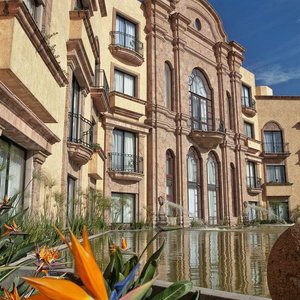 Unwind in our exterior gardens