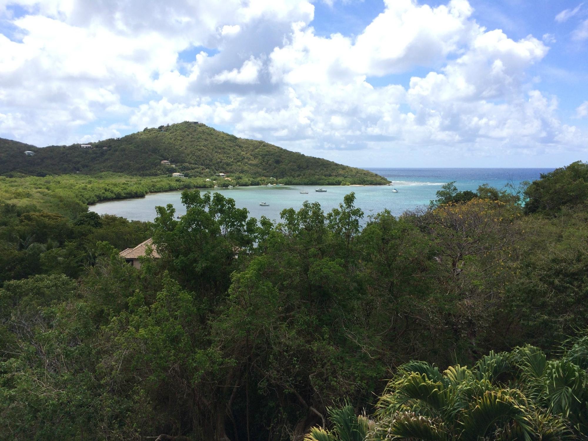 GECKO HOUSE - Prices & Guest house Reviews (St. John, U.S. Virgin Islands)