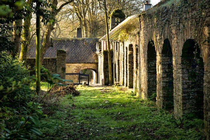 Roundwood House Fireplace: Pictures & Reviews - Tripadvisor