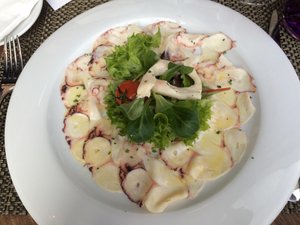 Cibo