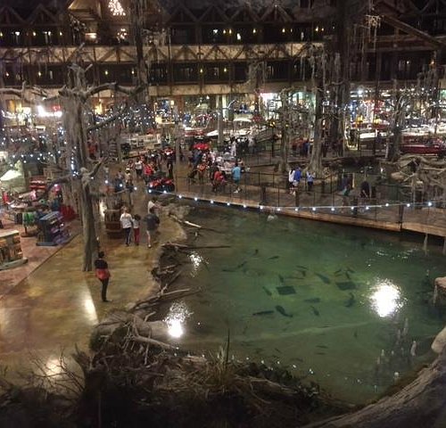 Bass Pro Shops at the Pyramid - All You Need to Know BEFORE