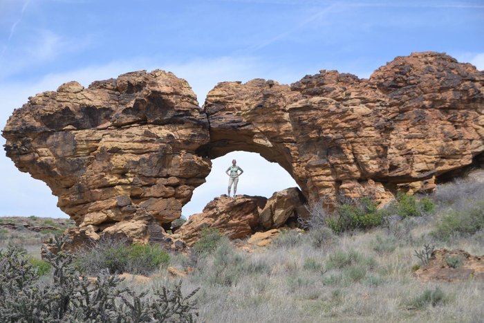 Arch
