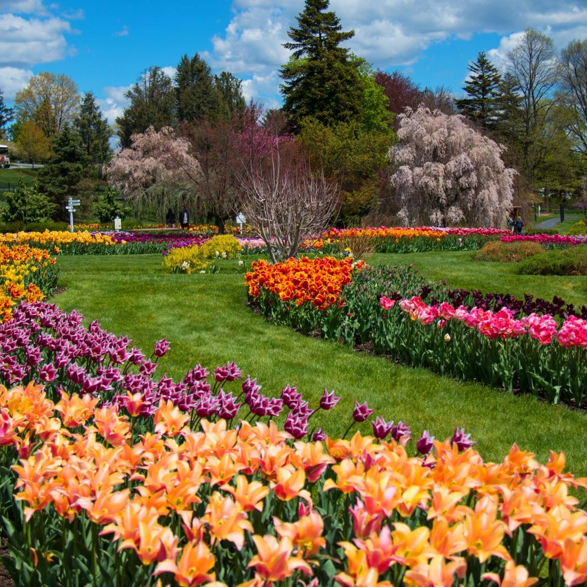 Hershey Gardens, Херши: лучшие советы перед посещением - Tripadvisor