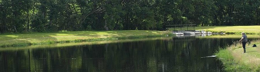 One of the fishing ponds at Mill of Kellas Trout Fishery