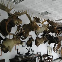 Ronda Hunting Museum - Museo de Caza