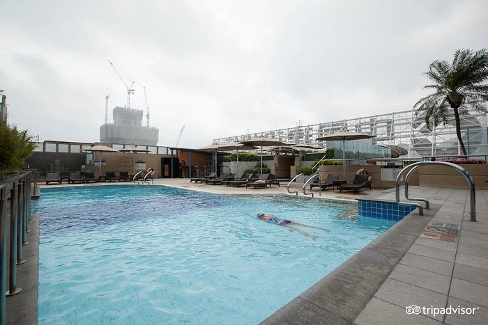 Sheraton Hong Kong Hotel & Towers Pool Pictures & Reviews - Tripadvisor