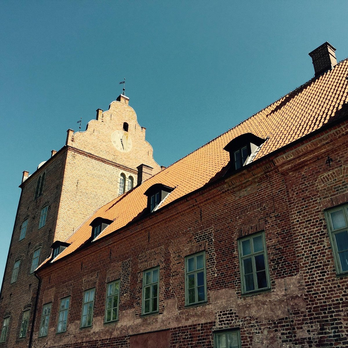 single i bäckaskog