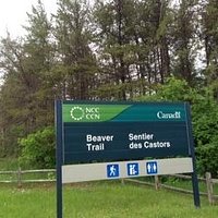 Beaver Trail