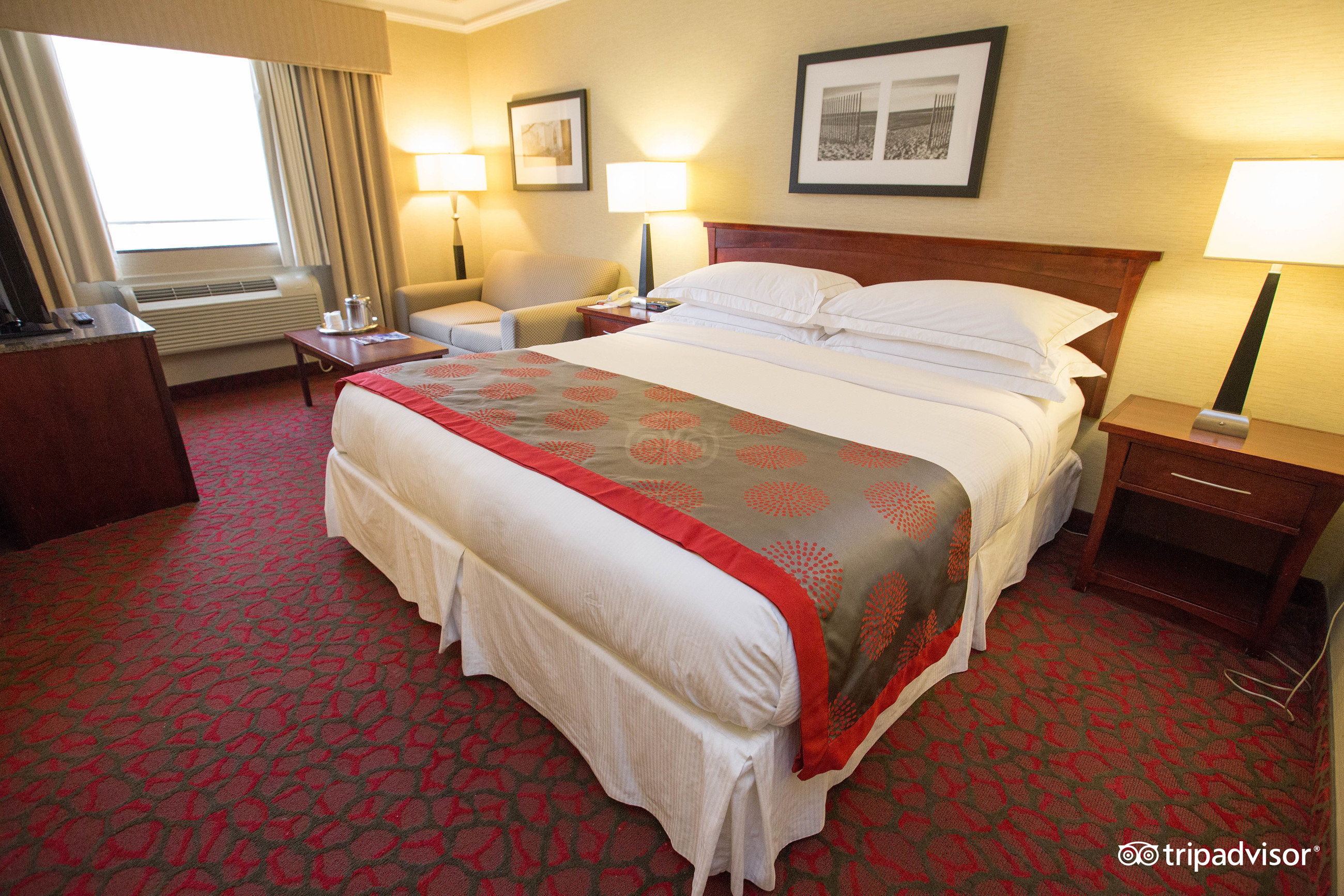 HAMPTON INN SUITES BY HILTON TORONTO DOWNTOWN Prices Hotel   Standard King Room  V6694590 