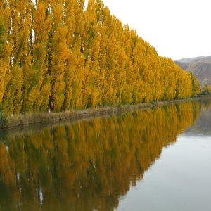 Autumn feel.....