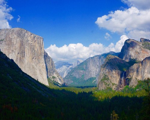 are dogs allowed at yosemite national park