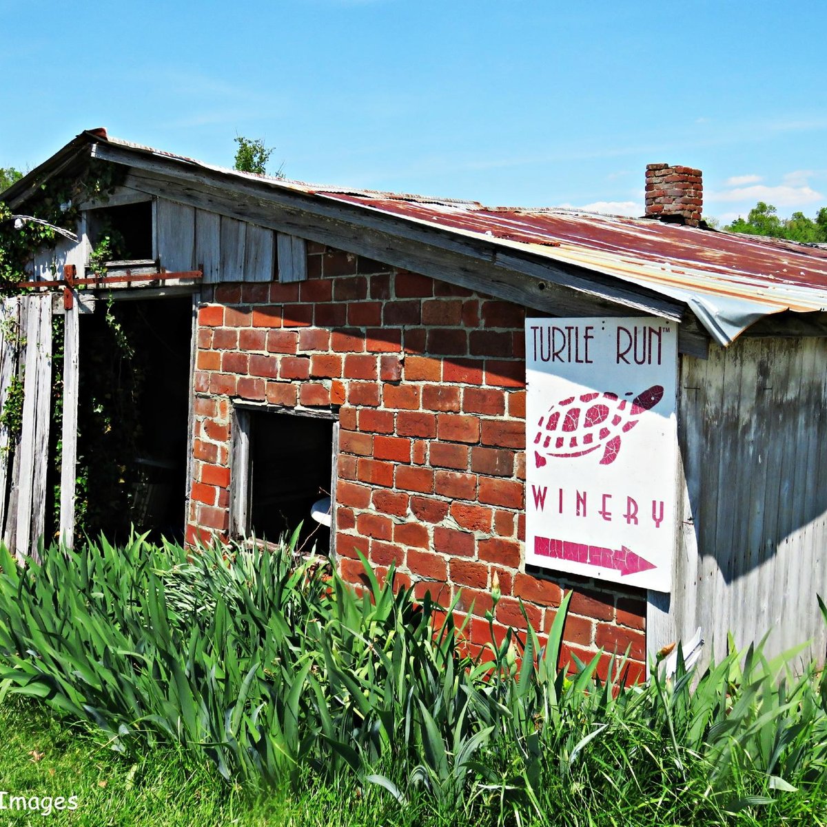 Turtle Run Winery (Corydon) All You Need to Know BEFORE You Go