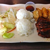 Teriyaki Chicken and Gyoza