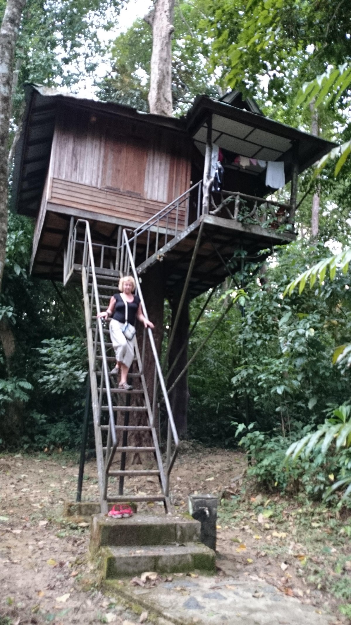 KHAO SOK NATURE RESORT (Клонг-Сок) - отзывы, фото и сравнение цен -  Tripadvisor