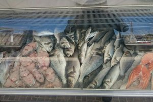 Comida